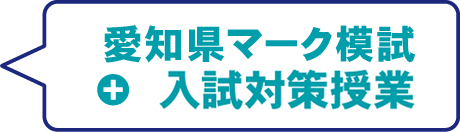 マーク模試+入試対策授業