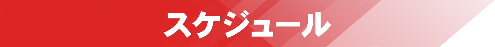 スケジュール