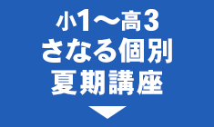 さなる個別夏期講座