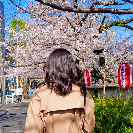 新間ひまわりオフショット