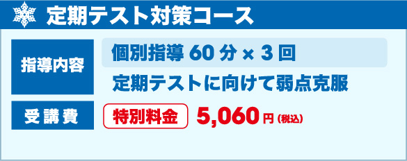 定期テスト対策コース