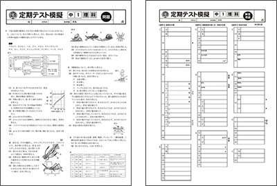 定期テスト模擬