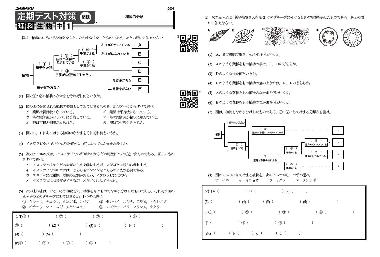 定期テスト対策問題集