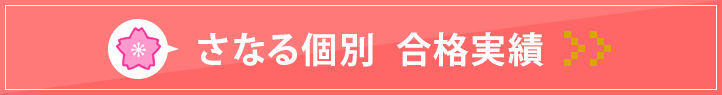 静岡本部校 さなる個別合格実績