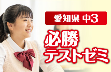 必勝テストゼミ