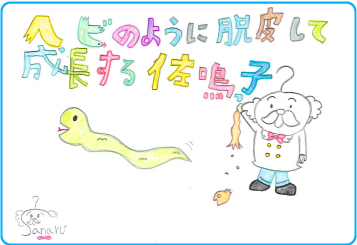 掛川本部校_小学生の声
